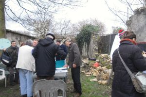 Murs-À-Pêches en photos : taille des pêchers et atelier préparatoire au remontage d’un mur