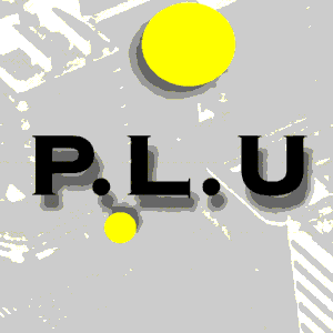 PLU Bagnolet, le texte du conseil de quartier du Plateau au commissaire enquêteur