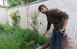 Romainville, ce vendredi. Sébastien Tirloy, vice-président de l’association Romainville-Sud, défend les habitants des maisons polluées du quartier des Ormes. Il a découvert que les fruits et légumes de son jardin étaient impropres à la consommation. (LP/F.L.)