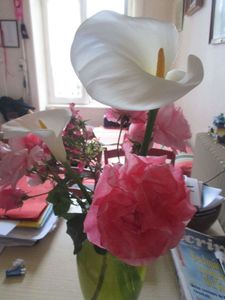 Arum et orages