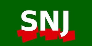 Elections à la carte : 36 317 raisons de voter SNJ