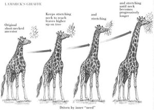 Le darwinisme... et ses "dérives" idéologiques...