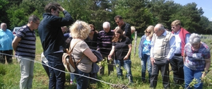 Le foyer dans les vignes de champlitte