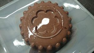 Flan Light au chocolat (TM)