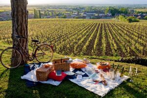 Le pique-nique vigneron