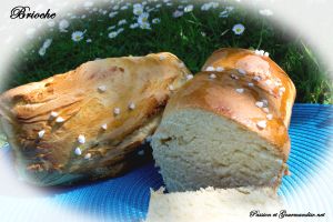 Brioche