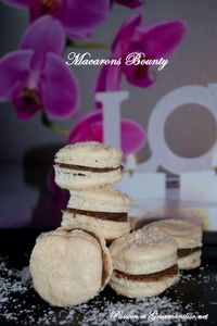 Macarons Bounty