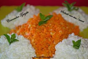 Concombre Tzatziki et salade carottes-navet