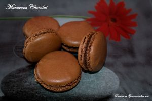 Macarons au chocolat