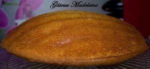 Gâteau Madeleine