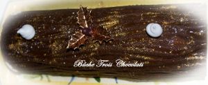 Bûche trois chocolats