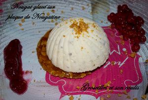 Nougat glacé sur plaque de Nougatine et son coulis de Groseilles