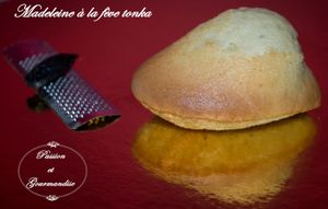 Madeleines à la fève Tonka