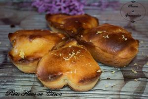 Petits Flans au Citron