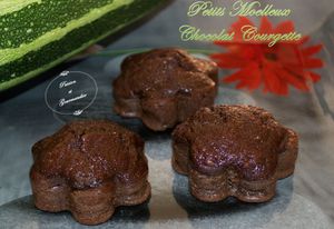 Petits Moelleux Chocolat Courgette