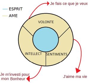 volonté , intellect et sentiments