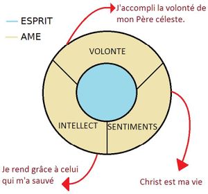l'ame régénérée