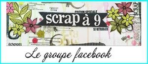 Crop de SCRAP à 9