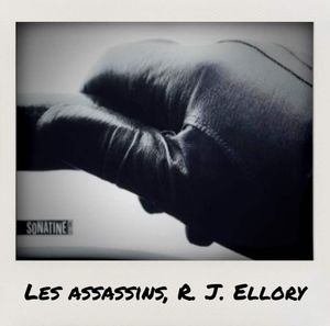 Les assassins, R. J. Ellory