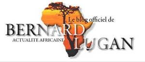 L'Afrique Réelle N°63 - Mars 2015