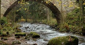 Des traces de substances chimiques retrouvées dans presque 90% des rivières françaises