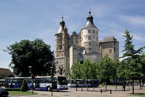 Montbéliard : les policiers victimes d’un lynchage familial