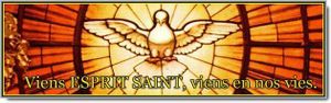 Neuvaine au Saint-Esprit, prions-là d’un seul cœur ! Dés L' Ascension QUI SERA SON PREMIER JOUR