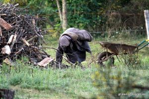 La grippe française a tué davantage que l'Ébola africain !