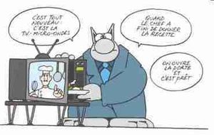 Effet des micro-ondes sur les nutriments