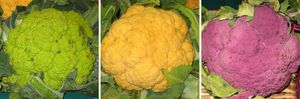 Potage de chou-fleur et chantilly au curry