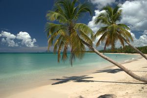 C'est décidé, à nous le soleil et la mer chaude, je m'installe