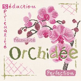 Sal LLP Orchidée # 4