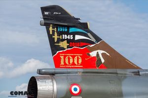 Dassault Mirage 2000D - 100 years Squadron SPA 67 "Cigogne de Navarre"
