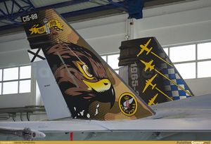 McDonnell Douglas EF-18A - ALA 46 - 50 years