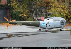 Aerospatiale SA316B "Alouette III" - Flugplatzkommando Alpnach Flpl Kdo 2 - "Finito Addio" special marking
