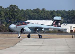 Grumman EA-6B "Prowler" - VMAQ2 "Panthers" - Special sheme 2016
