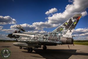 Eurofighter EF2000 "Typhoon" - Taktisches Luftwaffengeschwader 74 (TLG74) "Falken" - The Cyber Tiger - Tiger Meet 2016