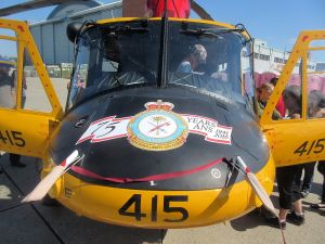 Bell CH-146 "Griffon" - 4th wing - 417 Combat Support Squadron - 75th anniversary