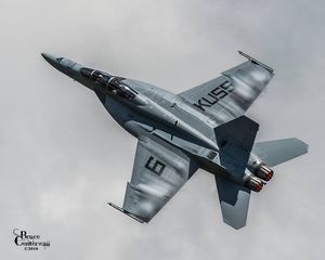 Boeing F/A-18F "Rhino" - VFA 122 "Flying Eagles" - Special marking "6 - Kuss"