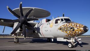 Grumman E-2C "Hawkeye" - VAW-116 "Sun Kings" - CAG 2016