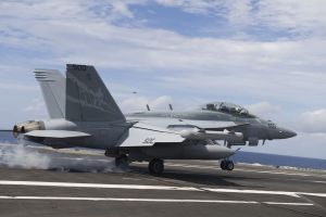 Boeing EA-18G "Growler" - VAQ-131 "Lancers" - CAG bird 2016