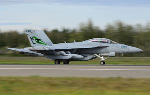 Boeing EA-18G "Growler" - VAQ-135 "Black Ravens" - CAG bird 2016