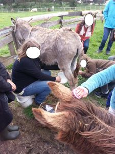 Ferme pédagogique Francilianes