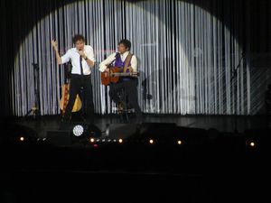 Alain Souchon et Laurent Voulzy à Forest National, le 20 juin 2015
