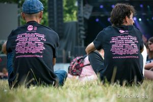 Ronquières Festival - Première journée - le 1 août 2015