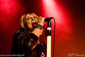 Rock For Life festival ( contre le cancer) - Cité Culture - Laeken, le 14 novembre 2015
