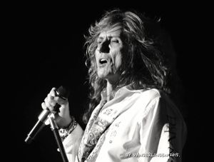 Whitesnake 'The Purple Tour' + The Dead Daisies à Forest National, le 1 décembre 2015