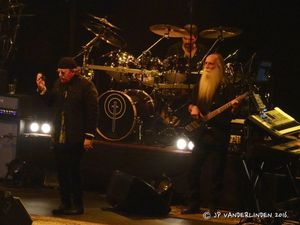 Toto à Forest National, le 27 janvier 2016