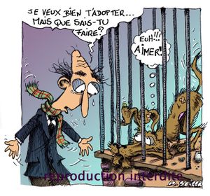 Adopter un chien dans un refuge