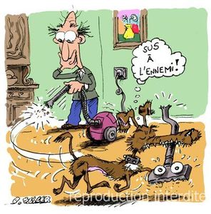Apprentissages volontaires et involontaires